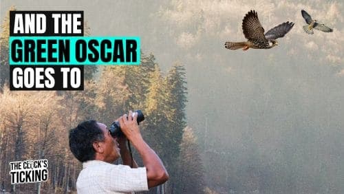 This man won the Green Oscar for conserving Amur falcons