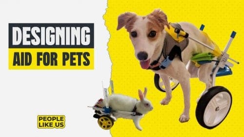 How I designed and created affordable wheelchair for dogs