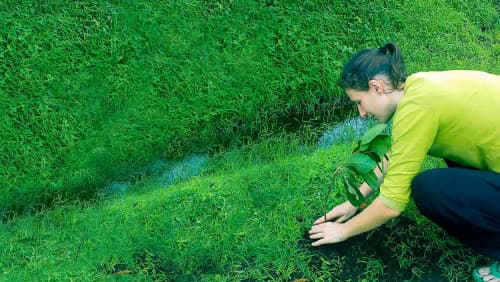 A self-sustaining farm