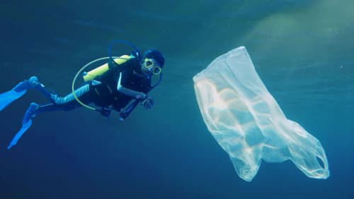 At 8 she scuba dives for a cleaner ocean
