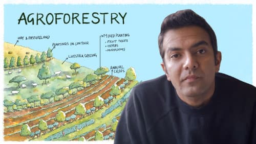 Agroforestry: Reclaiming land and livelihood