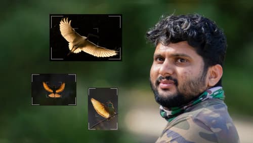 Spotlight on Wildlife Protection