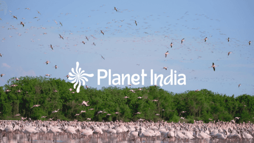 Planet India: The Spirit of Jugaad
