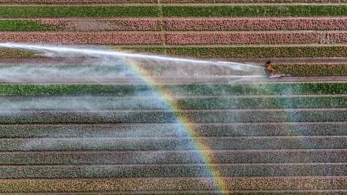 Bridging Sectors for Farmers