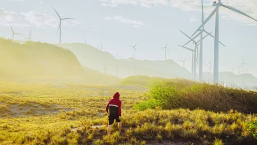 Smart Farming Strategies for Climate Adaptation