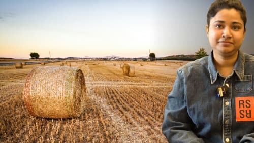 Mulching your Way towards Better Crops