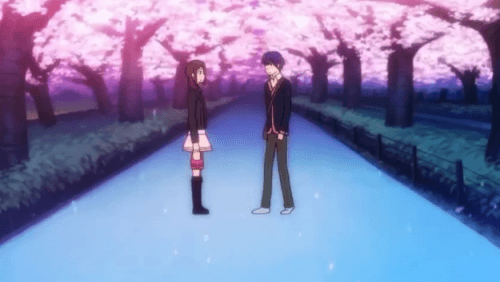 Cherry Blossom Revelry
