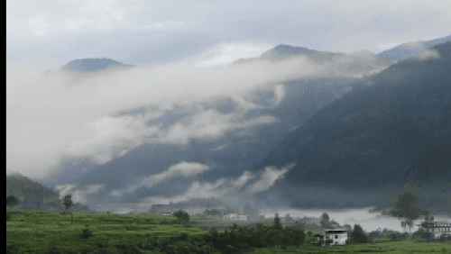 How Hedgerows & Check Dams Are Reviving Bhutan’s Farmlands