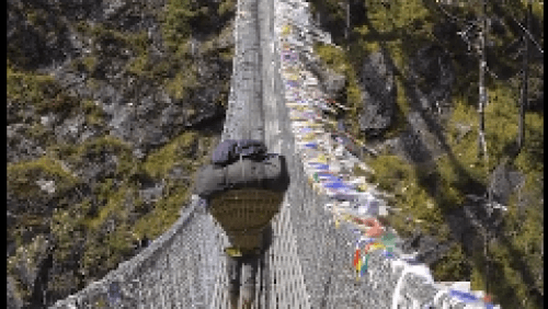 Restoring a River's Song: The Tamor River Story