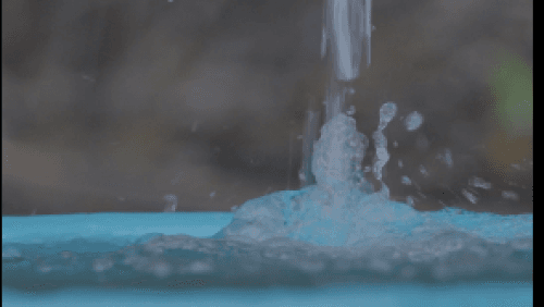 Bringing Water Back: How a Bhutanese Village is Reviving Its Forests and Future