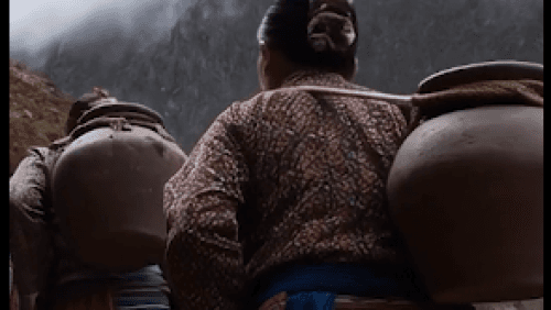 Bringing Water Back: How Women in Nagaland Are Reviving Forests and Hope