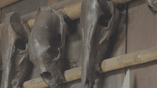 The School Before Schools: Inside Nagaland’s Ancient Morung Classroom