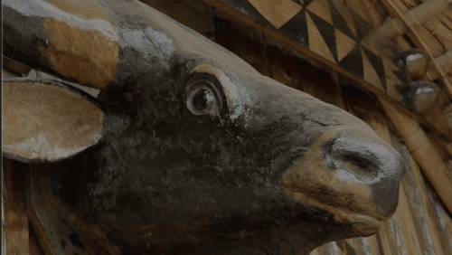 This Year at Hornbill Festival: Morung Houses Go Digital, Step Inside the Angami Morung
