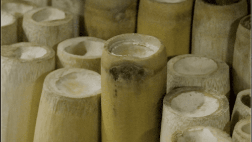 Inside the Rengma Morung: Craft, Colour & Quiet Mastery