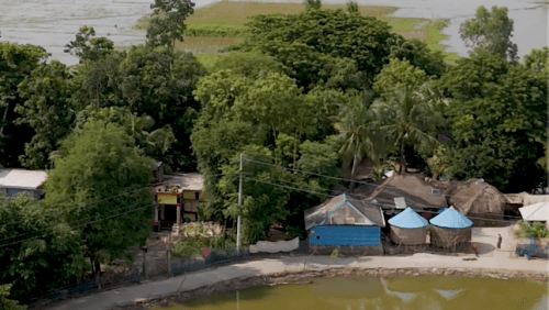 Without Trees, It Was Like a Desert” | How a Village in Bangladesh Is Turning Green Again