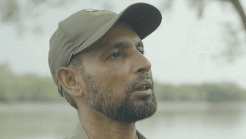 The Sundarbans Are Our Mother’s Cradle” | How Mangroves Protect Lives
