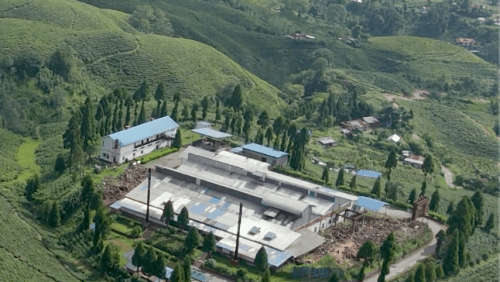 Our Forest Gives Us Life” | Restoring Medicinal Forests in Nepal