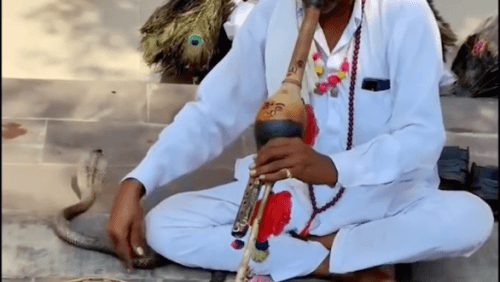 The Kalbelia dance