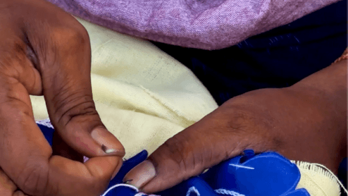 Rolling into a Bright Future: How Solar Power is Crafting a New Era for Pipli's Applique Artists