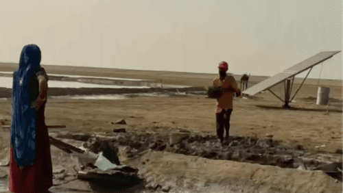 Dhrangadhra salt fields of Gujarat