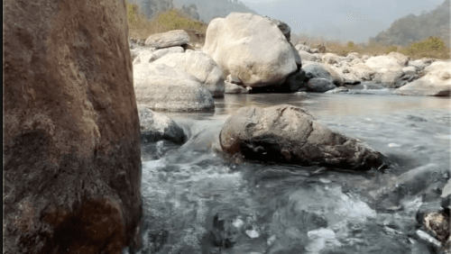 Nature Heals Together: Celebrating International Biodiversity Day