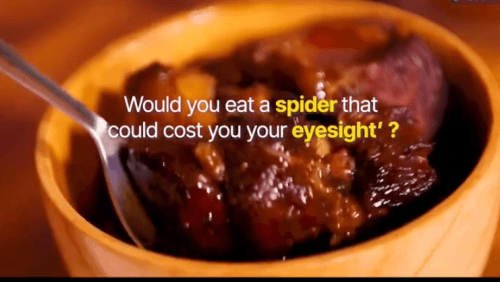 Spider