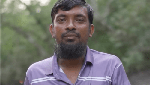 The Forest That Keeps Tigers and People Apart Bringing the Sundarbans Back to Life