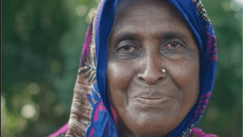 Protection Begins with Roots: Planting Mangroves in Amadi Union
