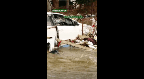 Harming environment harms us too