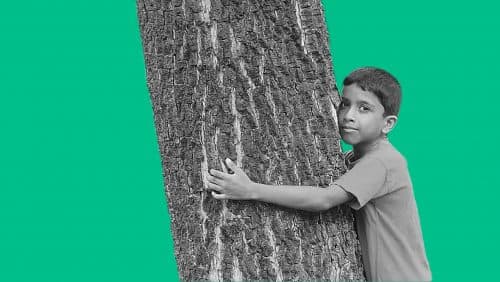 The original tree huggers